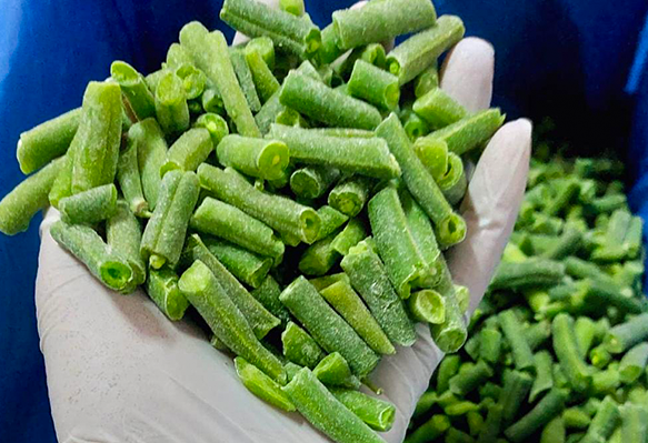 Green Beans-big-2